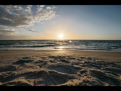 Devocional Bíblico 12 Enero - Job 23:10-11 Audiodevocional