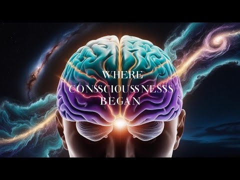 The Origins of Consciousness Explained: Unlocking the Mystery of the Mind