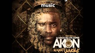09 - Akon Call Da Police feat Busta Rhymes.wmv