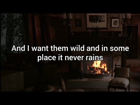 Toby Johnson - Tiny Fires (Lyrics)