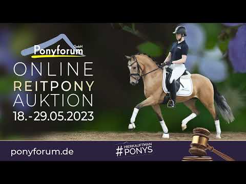 Directors Cut A.T Wallach 2019 v. Dreidimensional AT NRW / Dimension AT NRW