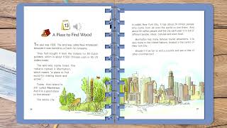 One story a day level 2 book 6 Story 13 A Place to Find Wood