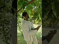 Le Fondateur de Terracitoyens, Rudy Louis-Philippe #martinique