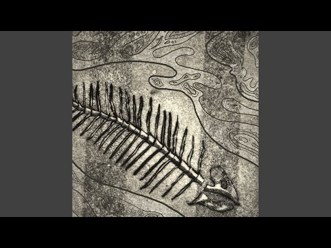 Elämä Kuin Torakka