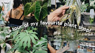 touring my FAVORITE houseplant shop!! 🪴