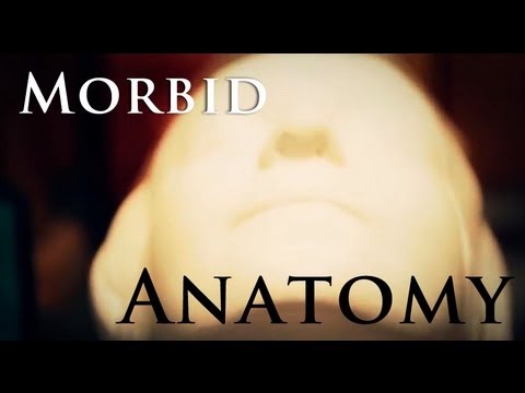 The Midnight Archive - Morbid Anatomy