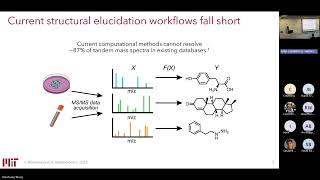 De novo Generation for Molecular Structure Elucidation from Mass Spectrometry