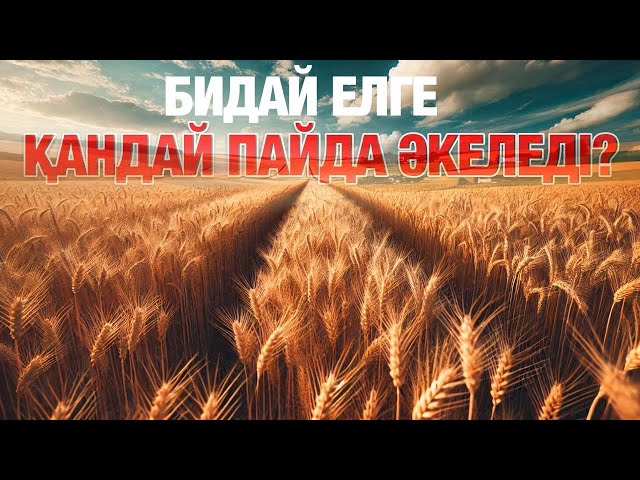 Бидай өндірісі: ауыл шаруашылығында қандай жетістік бар?