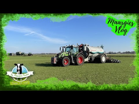 Maargies vlog 147: Mest uitrijden, kijkje in Kooklokaal & jonge duiven | Fendt Vario | Schuitemaker