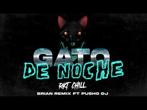GATO DE NOCHE 😼 - RKT CHILL  - BRIAN REMIX ✘ PUSHO DJ