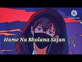 Hame Na Bhulana Sajan Hame Na Bholana Lo Fi Song Pagalword Com