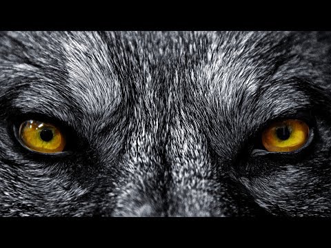 Red Shadow Singers - Wolf Song