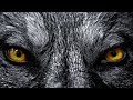 Red Shadow Singers - Wolf Song