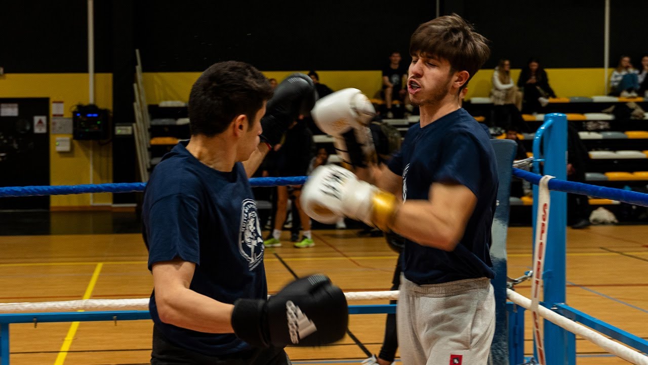 Les L3 en Management du Sport de Poitiers organisent la Nuit des Boxes