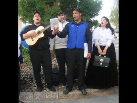 KATUSOIHDUT - HAAVELINNOJA