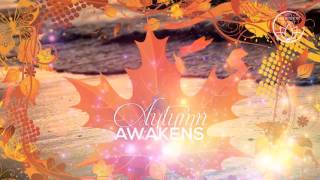 Autumn Meditation - New Common Sense to restart Your Inner Power