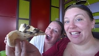 Wake Up it's Time for Dinner! Carnival Magic Cruise Vlog [ep9]