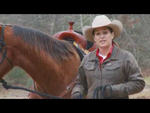 YouTube video about: How much do you tip a horse trail guide?