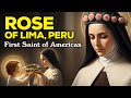 ROSE Of Lima The First Saint Of The Americas And Her Path Of Holiness