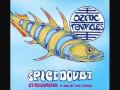 Ozric Tentacles - Oolite Groove & Citadel Jam (live 1998).wmv