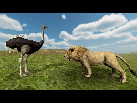OSTRICH vs EVERY UNIT - Beast Battle Simulator