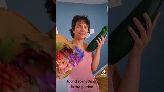 zuchinni song Tim curry garden funny