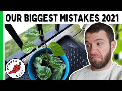 Our BIGGEST Mistakes Growing Peppers in 2021 - Pepper Geek
