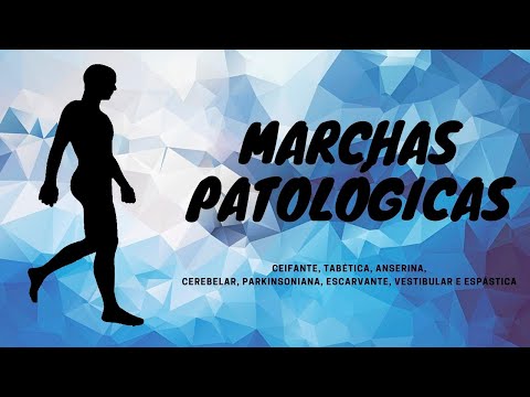 Marchas patológicas