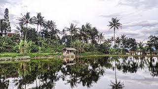 Download lagu PEMANDANGAN JALAN ANYAR GUNUNG GUNTUR mp3