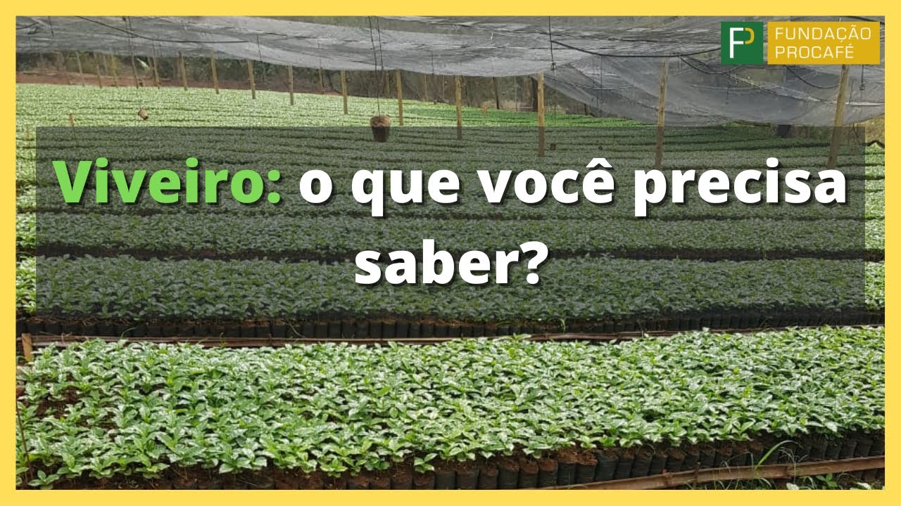 Podcast #29 - Viveiro: o que você precisa saber?
