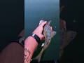 Video Thumbnail for Bye-bye  ?? #short #fishing #walleye #shorts