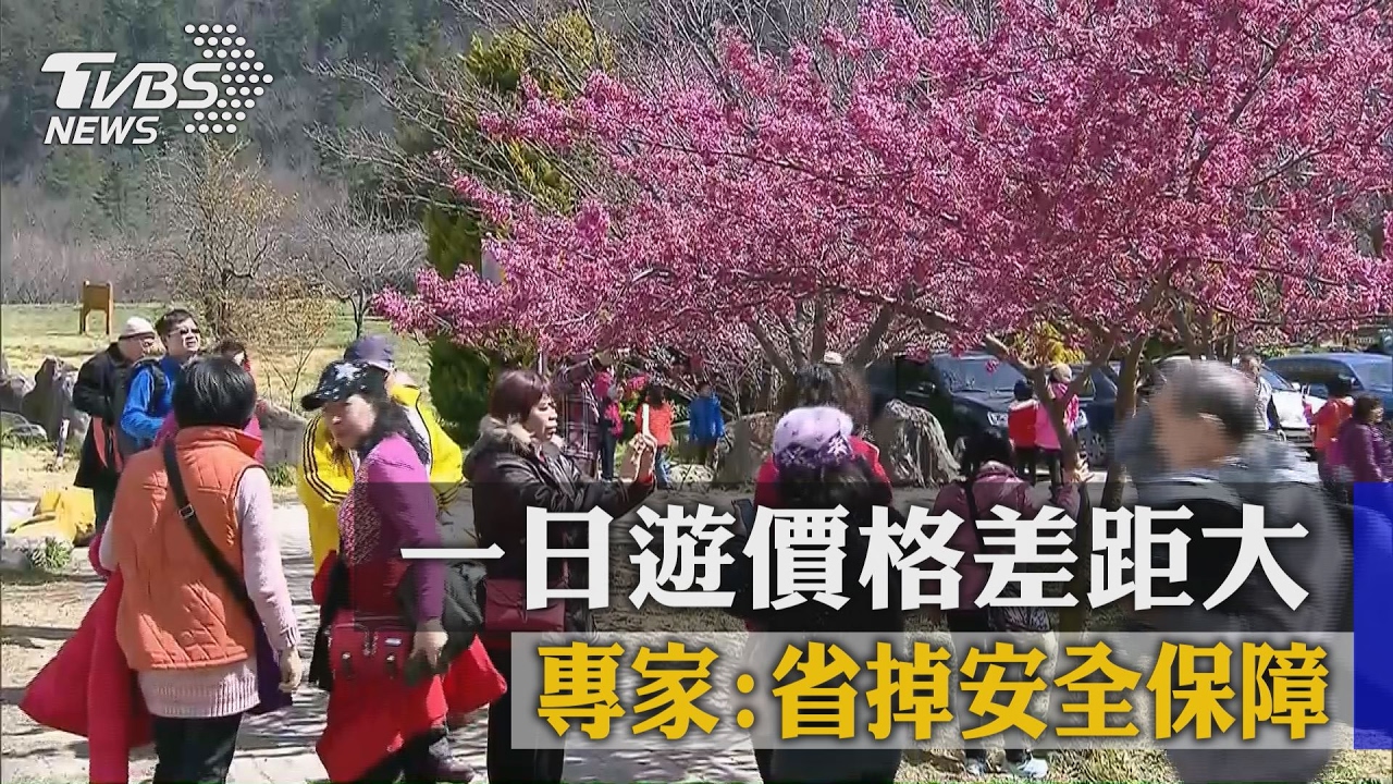 一日遊價格差距大　專家：省掉安全保障