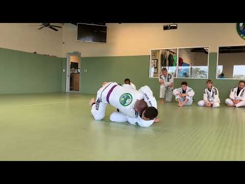 Escaping mount and using butterfly to sweep