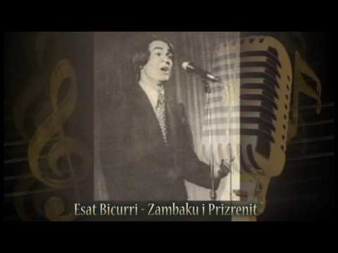 Esat Bicurri - ZAMBAKU I PRIZRENIT