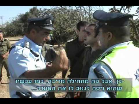 יום עבודה בחלקת משפחת ג’עברי בחברון