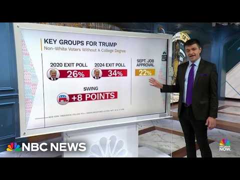 New poll shows 'real cracks in the Trump coalition' that carried him in 2024