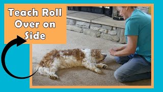 Teach Your Dog 🐶 to Roll Over 🔄↪on His Side Dog Trick Video | Dog Trick Training