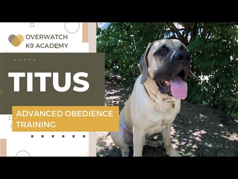 OverWatch K9 Academy video.