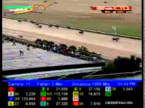 VALENCIA 11 CARRERA VIERNES 12 DE SEPTIEMBRE DEL 2014