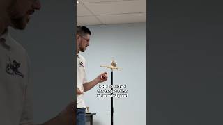 Cockatiel – Target Training is very Useful