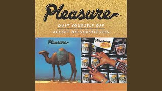 Pleasure For Your Pleasure (Album Version)