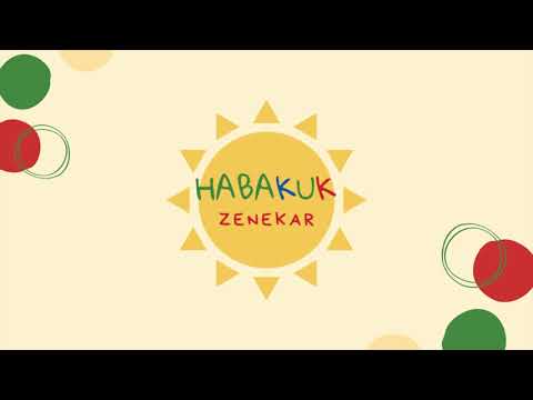 Habakuk Zenekar - Valahogy így zajlik egy koncertünk!
