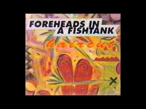 Foreheads In A Fishtank-Haircut