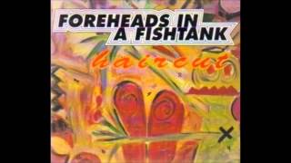 Foreheads In A Fishtank-Haircut