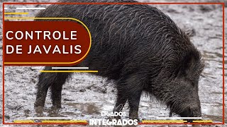 Miniatura do vídeo