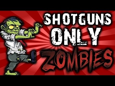 Shotguns ONLY "Pt3" *Der Riese* Black Ops Zombies