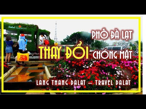 Phố Đà Lạt Thay Đổi Chóng Mặt | Dalat Street | Travel Dalat Vietnam