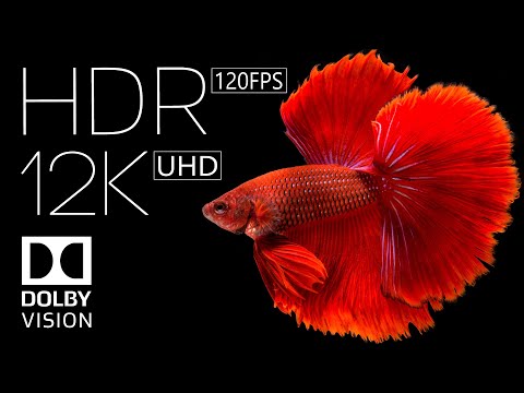 12k HDR 60fps Dolby Vision | Best of 2022