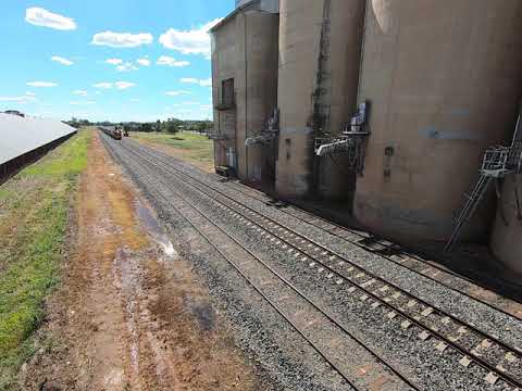 48123 & 8163 at Bogan Gate NSW.  Tue 05th Jan 2021