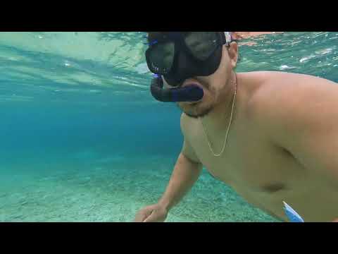 Ever Snorkel Day 1.4